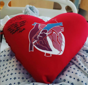 heart surgery pillow