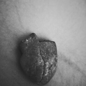 black and white image of a rock shaped like an anatomically correct heart.