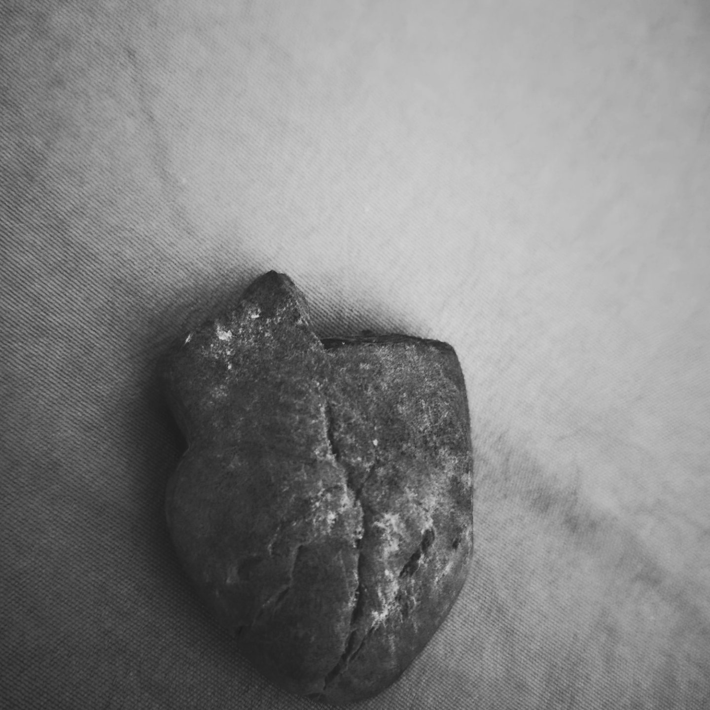black and white image of a rock shaped like an anatomically correct heart.